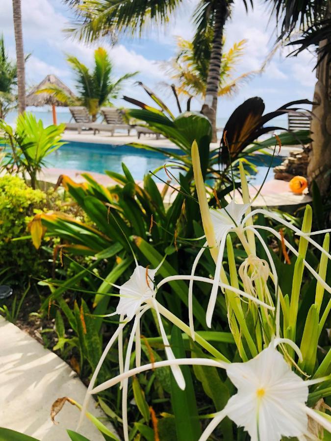 Coral Cove Inn Maya Beach Esterno foto